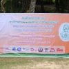 กอล์ฟการกุศล  ประจำปี  2561